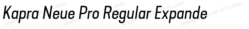 Kapra Neue Pro Regular Expanded Rou字体转换